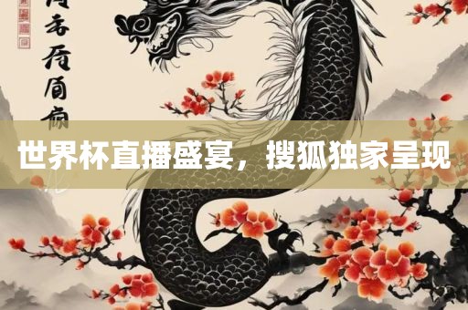 世界杯直播盛宴，搜狐独家呈现