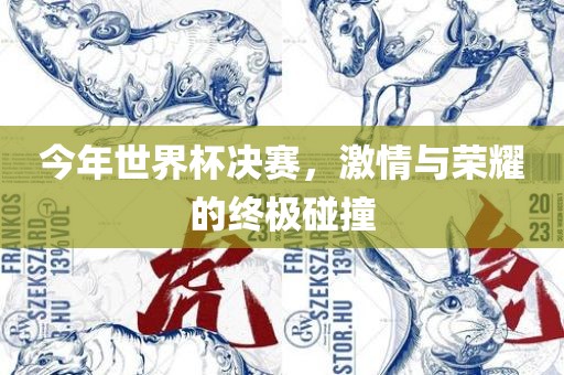 今年世界杯决赛，激情与荣耀的终极碰撞