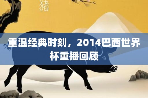 重温经典时刻，2014巴西世界杯重播回顾