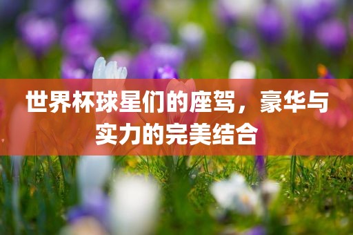 世界杯球星们的座驾，豪华与实力的完美结合