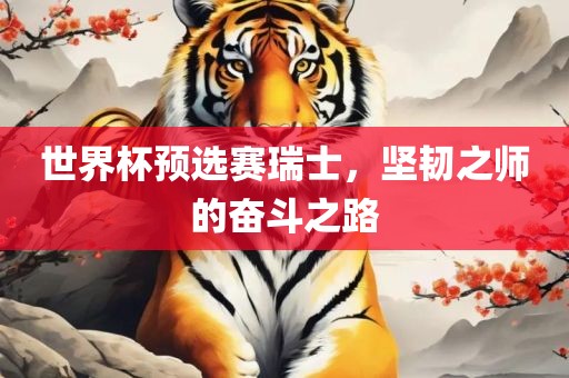 世界杯预选赛瑞士，坚韧之师的奋斗之路