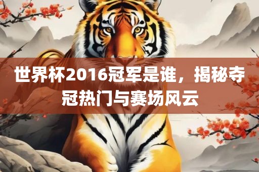 世界杯2016冠军是谁，揭秘夺冠热门与赛场风云