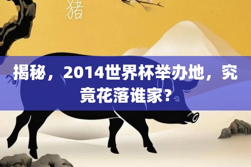 揭秘，2014世界杯举办地，究竟花落谁家？