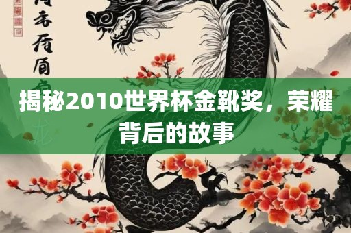 揭秘2010世界杯金靴奖，荣耀背后的故事漯河市盈旭机械设备有限公司