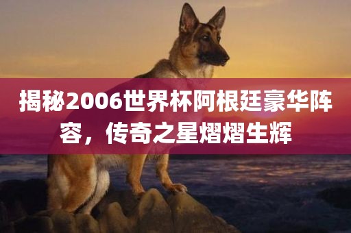 揭秘2006世界杯阿根廷豪华阵容，传奇之星熠熠生辉