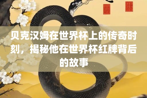 贝克汉姆在世界杯上的传奇时刻，揭秘他在世界杯红牌背后的故事漯河市盈旭机械设备有限公司