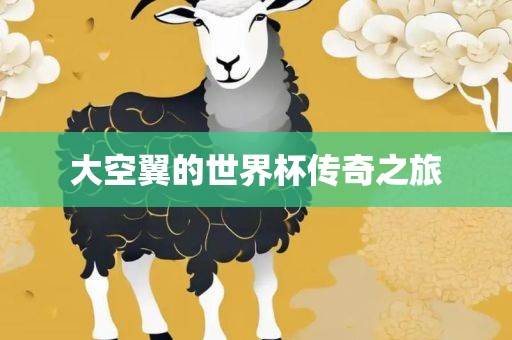 大空翼的世界杯传奇之旅漯河市盈旭机械设备有限公司