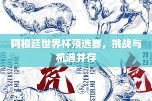 阿根廷世界杯预选赛，挑战与机遇并存