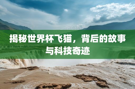 揭秘世界杯飞猫，背后的故事与科技奇迹