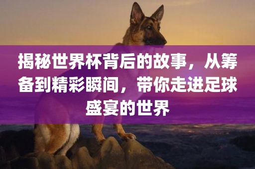 揭秘世界杯背后的故事，从筹备到精彩瞬间，带你走进足球盛宴的世界漯河市盈旭机械设备有限公司