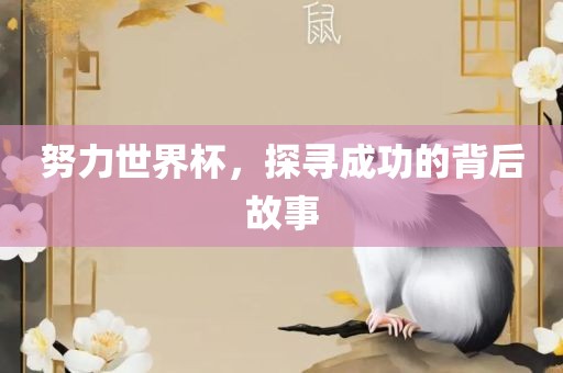 努力世界杯，探寻成功的背后故事