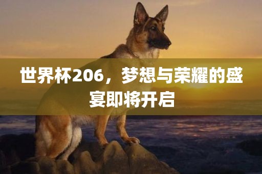世界杯206，梦想与荣耀的盛宴即将开启