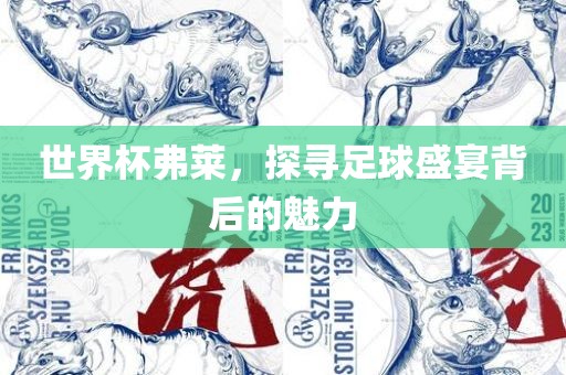 世界杯弗莱，探寻足球盛宴背后的魅力漯河市盈旭机械设备有限公司