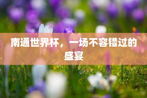 南通世界杯，一场不容错过的盛宴