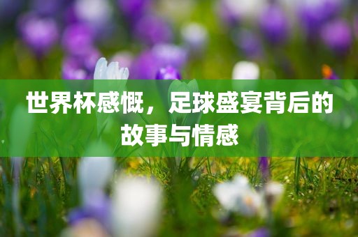 世界杯感慨，足球盛宴背后的故事与情感