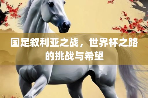 国足叙利亚之战，世界杯之路的挑战与希望