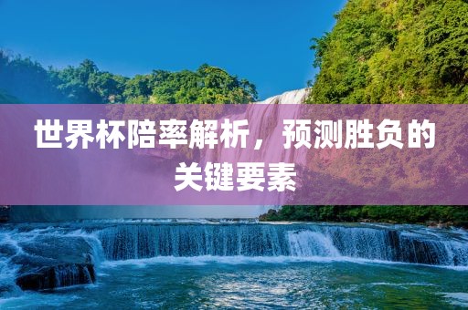 世界杯陪率解析，预测胜负的关键要素