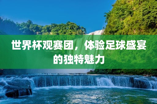世界杯观赛团，体验足球盛宴的独特魅力