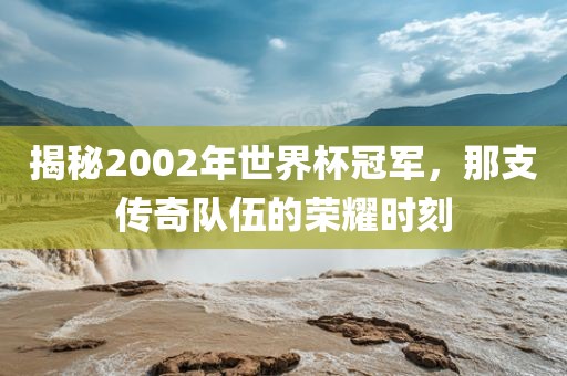 揭秘2002年世界杯冠军漯河市盈旭机械设备有限公司，那支传奇队伍的荣耀时刻