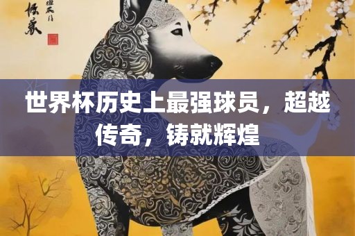世界杯历史上最强球员，超越传奇，铸就辉煌