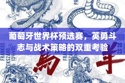 葡萄牙世界杯预选赛，英勇斗志与战术策略的双重考验漯河市盈旭机械设备有限公司