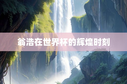 翁浩在世界杯的辉煌时刻