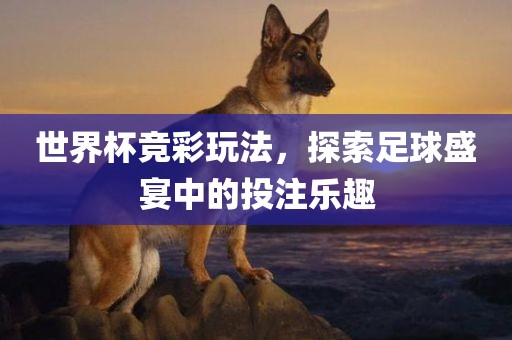 世界杯竞彩玩法，探索足球盛宴中的投注乐趣