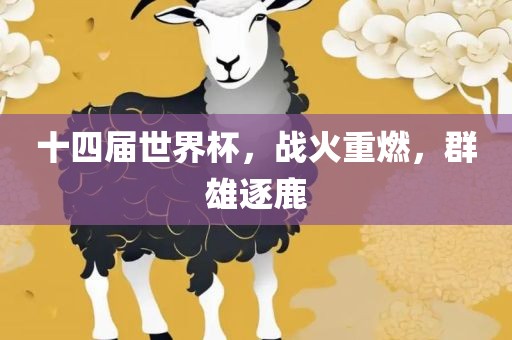 十四届世界杯，战火重燃，群雄逐鹿