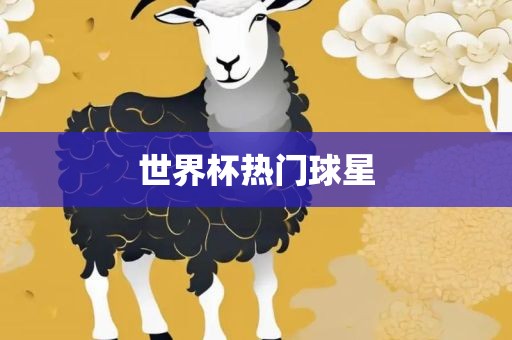 世界杯热门球星