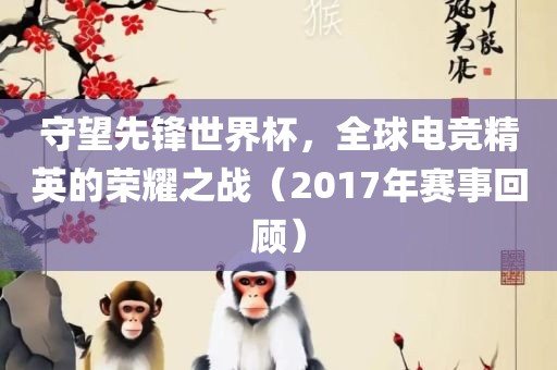 守望先锋世界杯，全球电竞精英的荣耀之战（2017年赛事回顾）