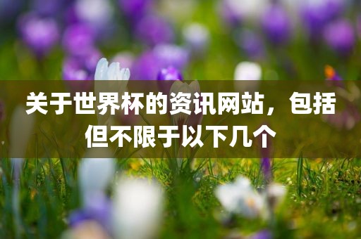 关于世界杯的资讯网站，包括但不限于以下几个