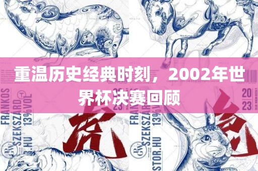 重温历史经典时刻，2002年世界杯决赛回顾漯河市盈旭机械设备有限公司