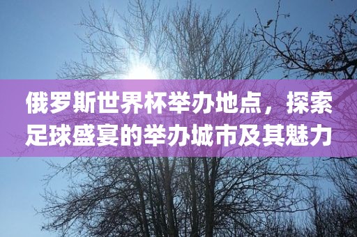 俄罗斯世界杯举办地点，探索足球盛宴的举办城市及其魅力