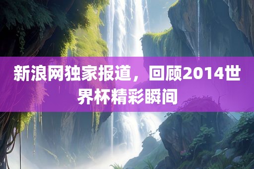 新浪网独家报道，回顾2014世界杯精彩瞬间