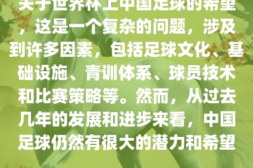 关于世界杯上中国足球的希望，这是一个复杂的问题，涉及到许多因素，包括足球文化、基础设施、青训体系、球员技术和比赛策略等。然而，从过去几年的发展和进步来看，中国足球仍然有很大的潜力和希望。