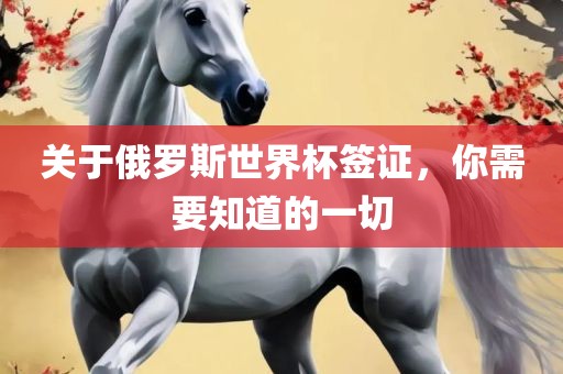 关于俄罗斯世界杯签证，你需要知道的一切