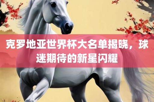 克罗地亚世界杯大名单揭晓，球迷期待的新星闪耀