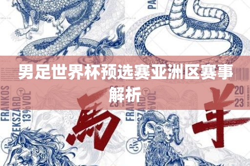 男足世界杯预选赛亚洲区赛事解析