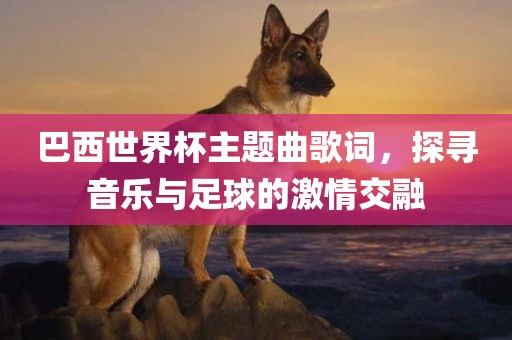巴西世界杯主题曲歌词，探寻音乐与足球的激情交融