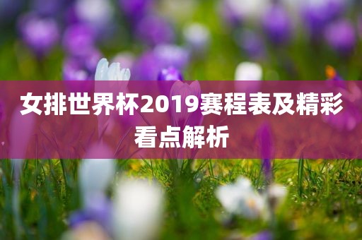 女排世界杯2019赛程表及精彩看点解析漯河市盈旭机械设备有限公司