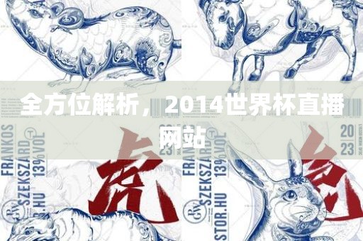 全方位解析，2014世界杯直播网站