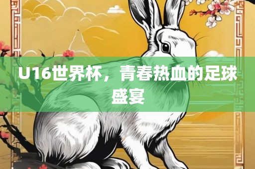 U16世界杯，青春热血的足球盛宴
