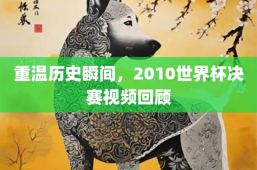 重温历史瞬间，2010世界杯决赛视频回顾