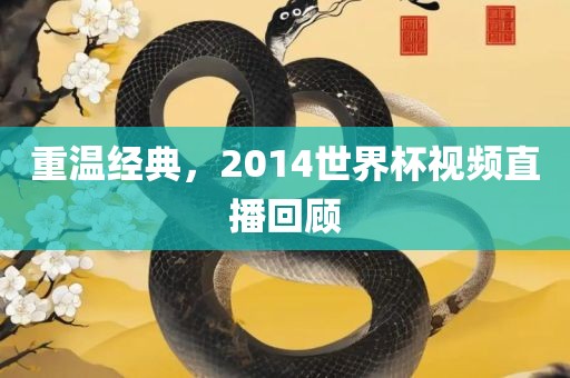 重温经典，2014世界杯视频直播回顾