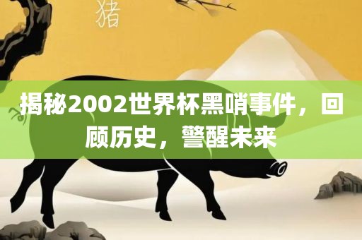 揭秘2002世界杯黑哨事件，回顾历史，警醒未来