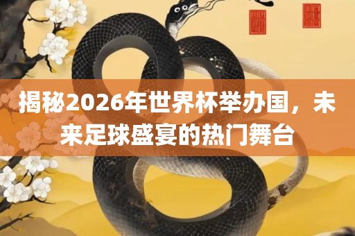 揭秘2026年世界杯举办国，未来足球盛宴的热门舞台