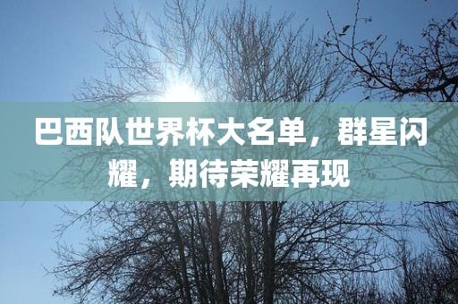 巴西队世界杯大名单，群星闪耀，期待荣耀再现