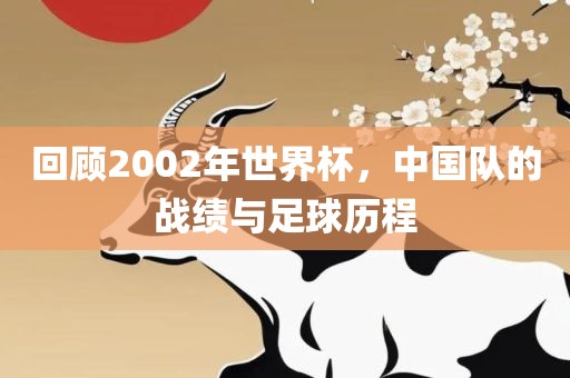 回顾2002年世界杯，中国队的战绩与足球历程
