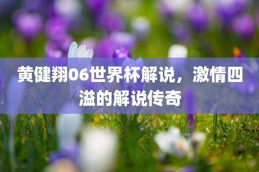 黄健翔06世界杯解说，激情四溢的解说传奇漯河市盈旭机械设备有限公司