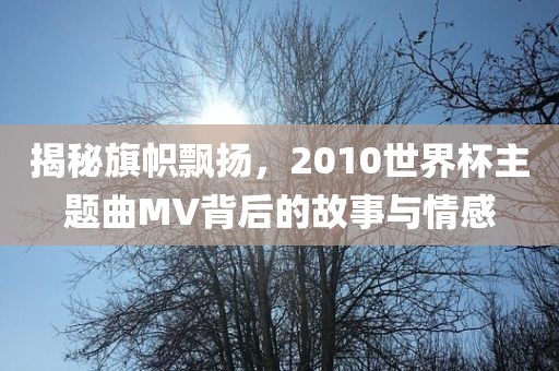 揭秘旗帜飘扬，20漯河市盈旭机械设备有限公司10世界杯主题曲MV背后的故事与情感